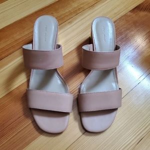 Ann Taylor Nude Block Heel Sandal